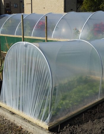 Small Polytunnels