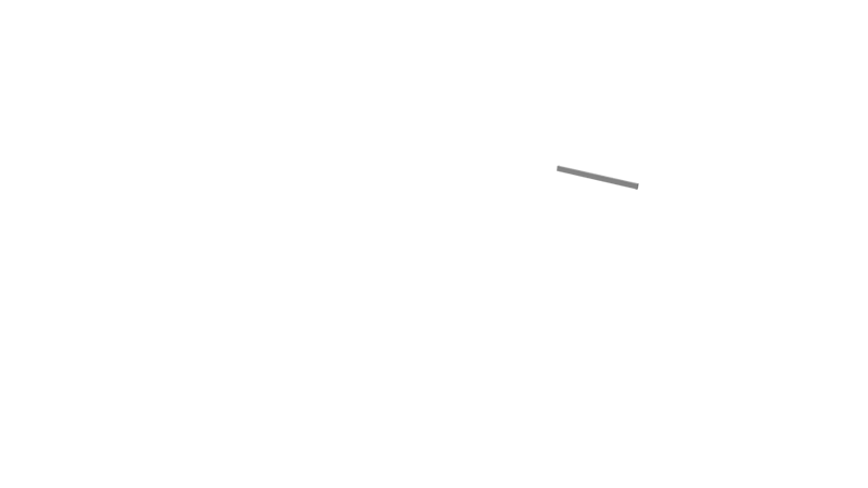 Rail Standard Alu Back R