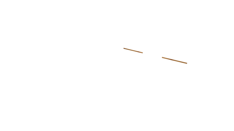 Base Rail Double Slide Timber Back