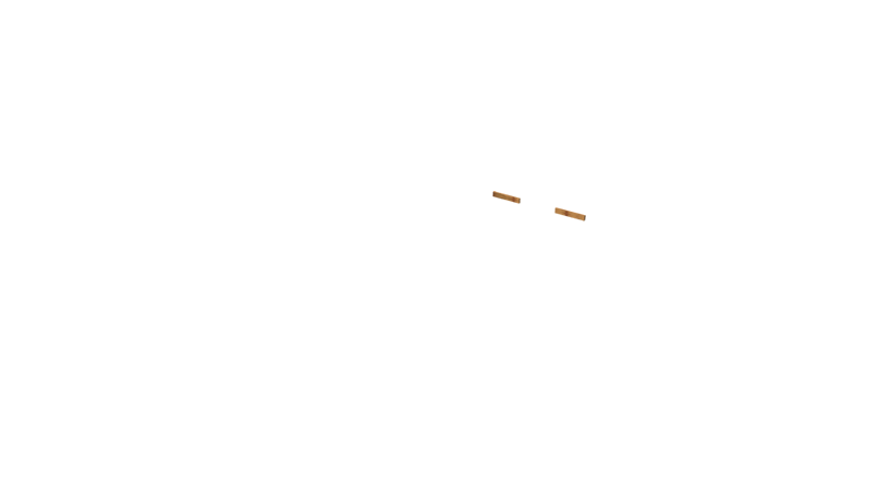 Base Rail Slide Timber Back