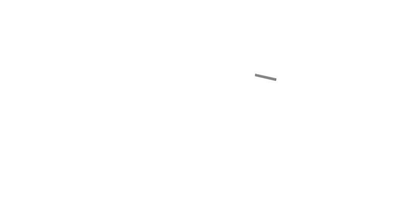 Rail Standard Alu Back R