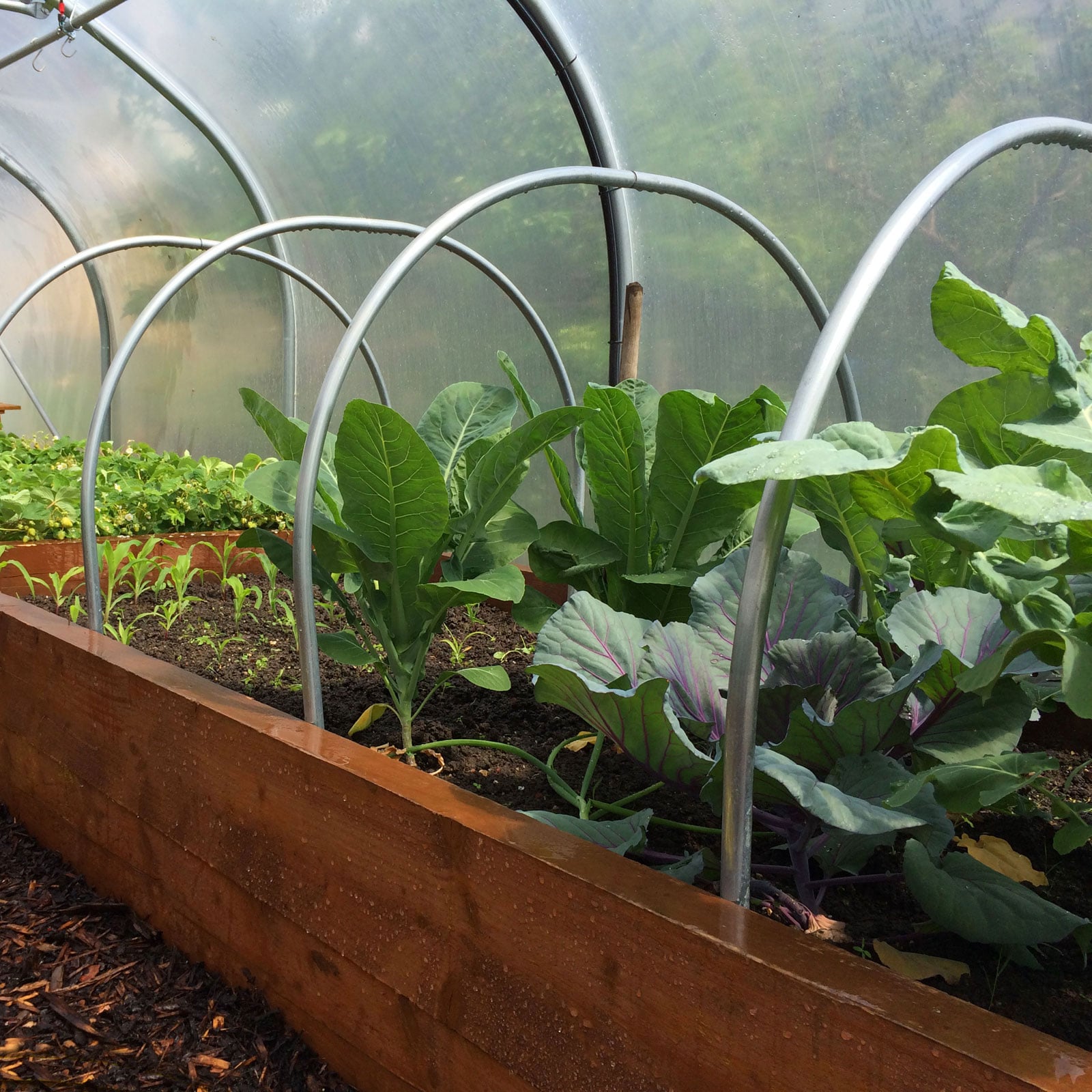 Heavy Duty Steel Cloche Hoop Metal Cloche Hoops