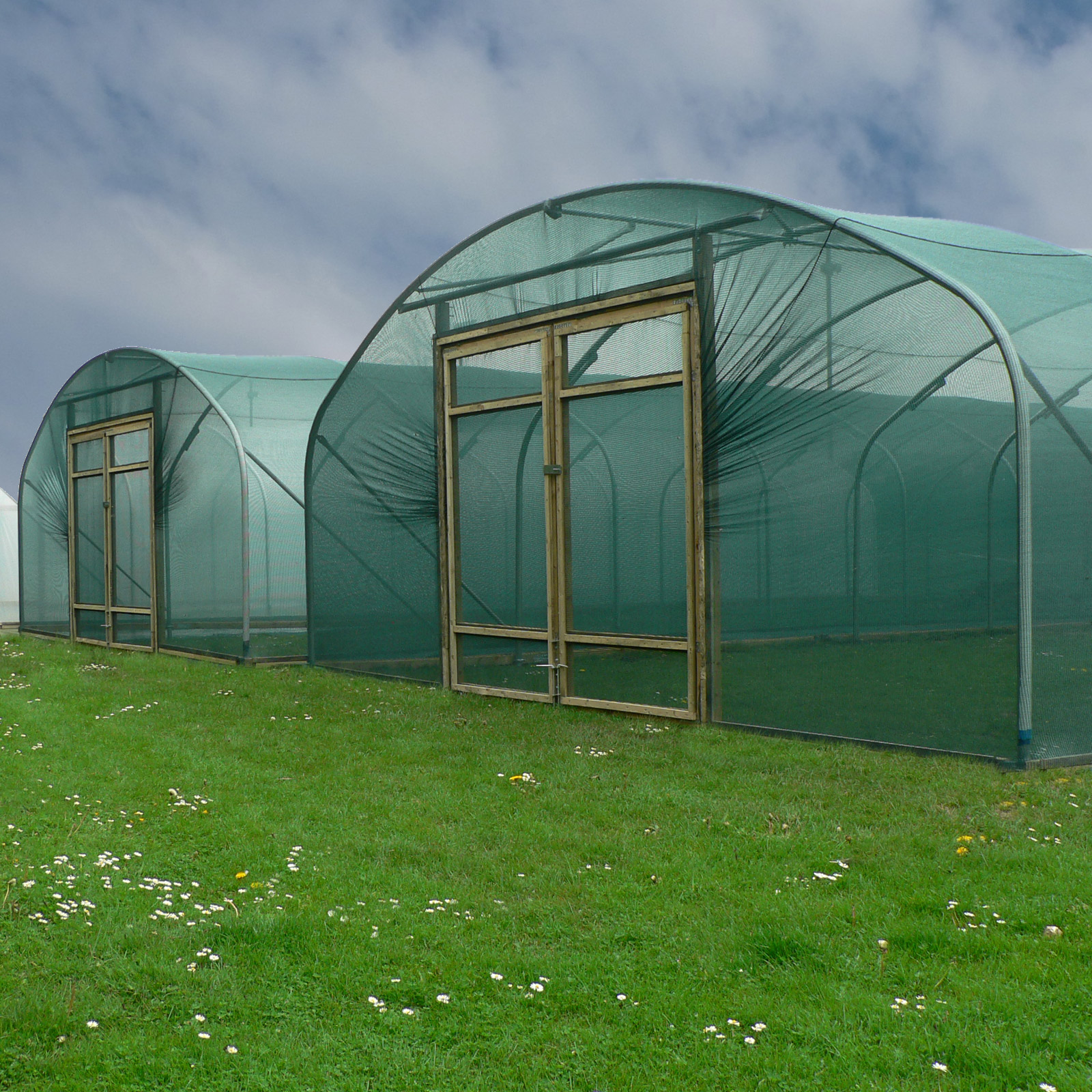 Fabricated Net Cover (50 Density) First Tunnels