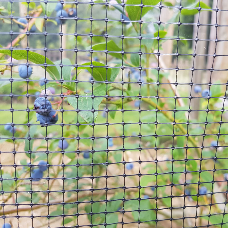 RIGID FRUIT CAGE NETTING eBay