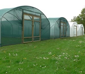 22ft Polytunnel