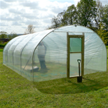 Polytunnel Image