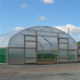 Polytunnel Image