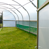 Polytunnel Image