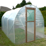 Polytunnel Image