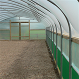 Polytunnel Image