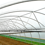 Polytunnel Image