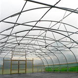 Polytunnel Image