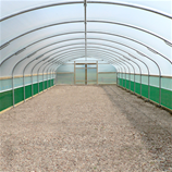 Polytunnel Image