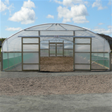 Polytunnel Image