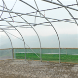 Polytunnel Image