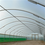 Polytunnel Image