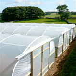 Polytunnel Image