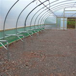 Polytunnel Image