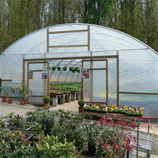 Polytunnel Image