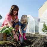 Polytunnel Image