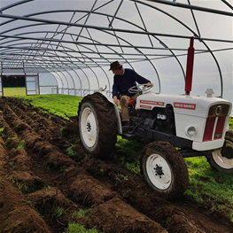 Polytunnel Image