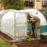 Polytunnel Image