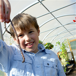 Polytunnel Image