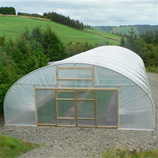 Polytunnel Image