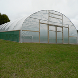 Polytunnel Image