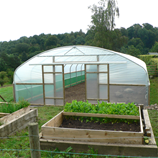 Polytunnel Image