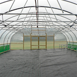 Polytunnel Image