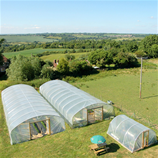 Polytunnel Image