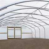 Polytunnel Image