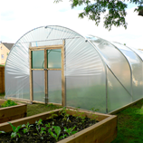 Polytunnel Image