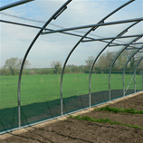 Polytunnel Image