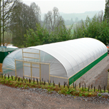 Polytunnel Image