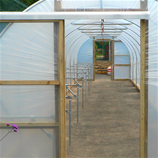 Polytunnel Image