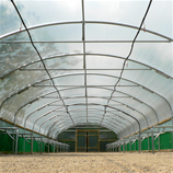 Polytunnel Image