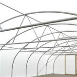 Polytunnel Image