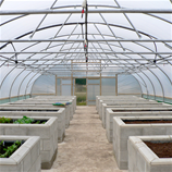 Polytunnel Image