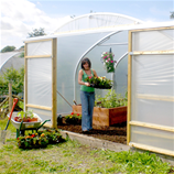 Polytunnel Image