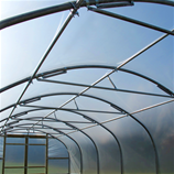 Polytunnel Image