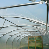 Polytunnel Image