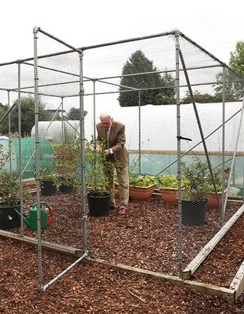 Fruit Cage