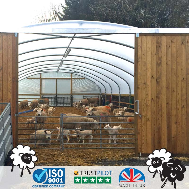 Sheep Shelters, Poly tunnel Sheep Shelter First Tunnels