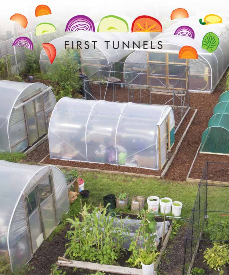 first tunnels permaculture default image