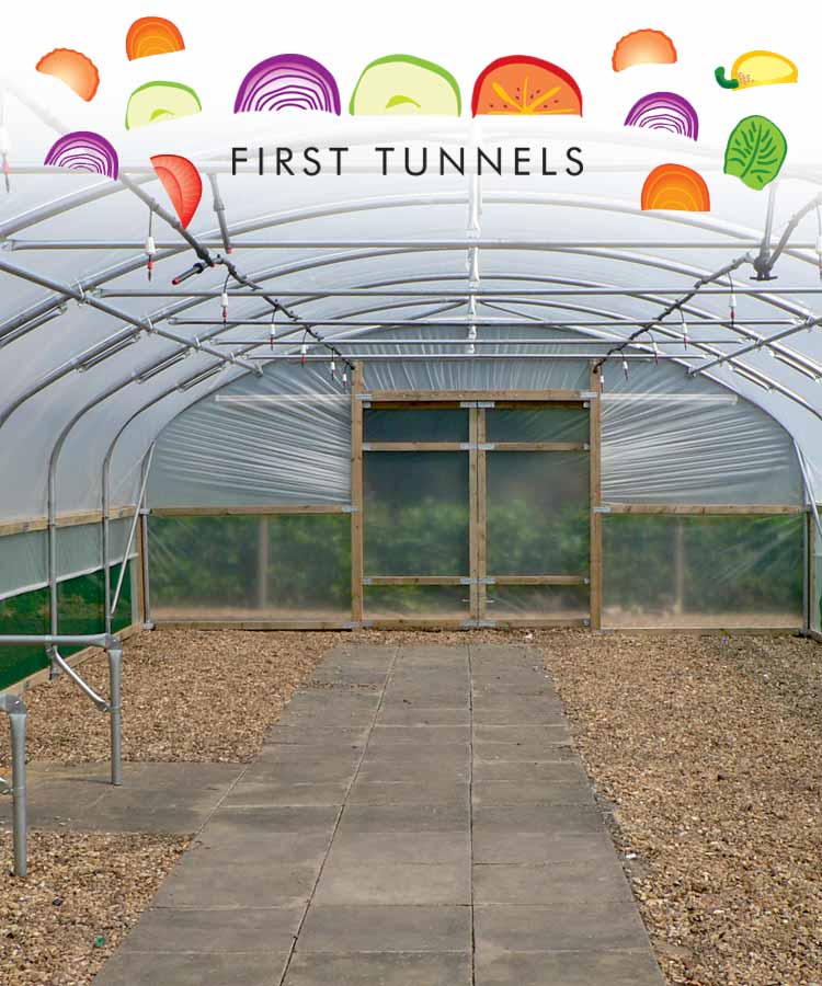 empty polytunnel