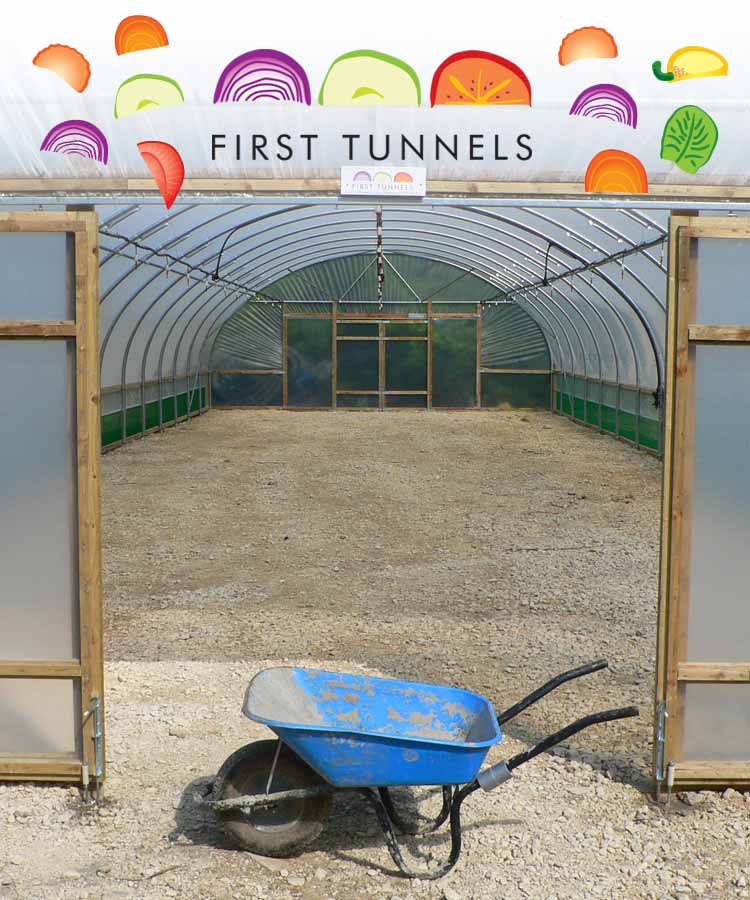 empty polytunnel