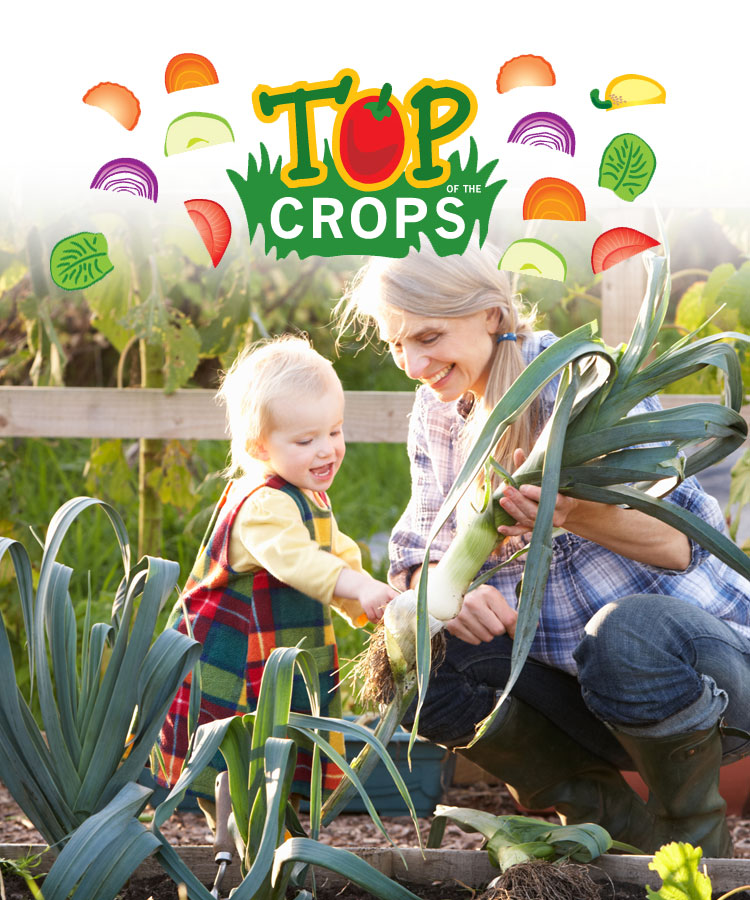 January Growing Guides