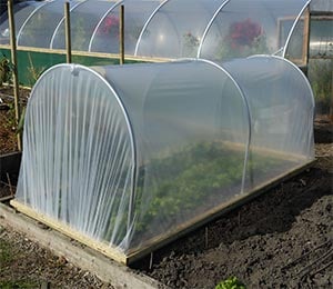 Mini Polytunnels